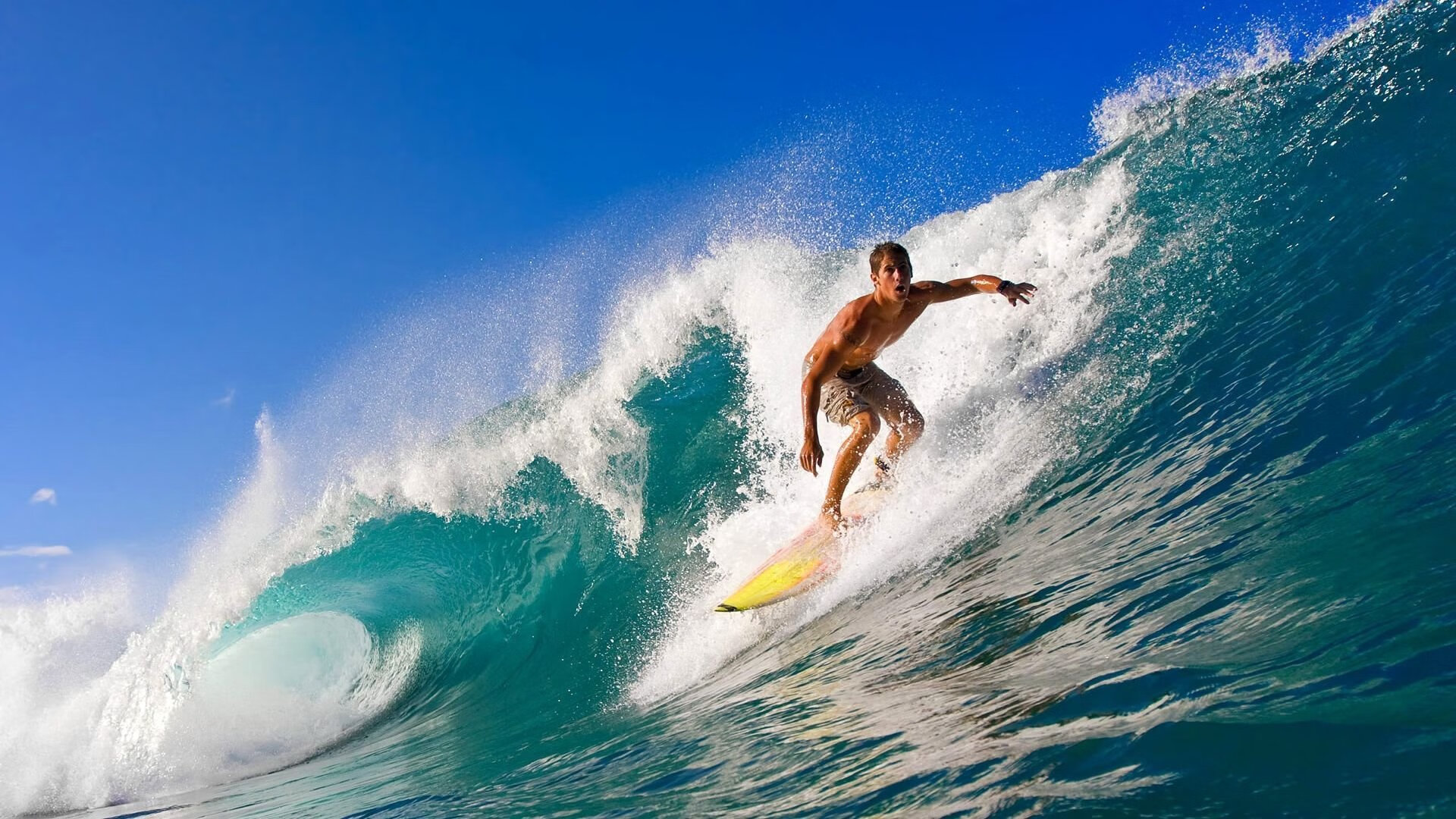 热火带队取胜！，科维托娃重要时刻败北引发球迷热议